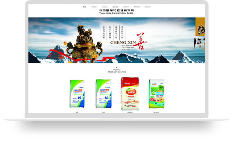 企業(yè)網(wǎng)站設(shè)計案例,手機(jī)網(wǎng)站設(shè)計案例